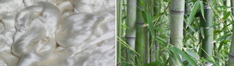 natural-bamboo-image