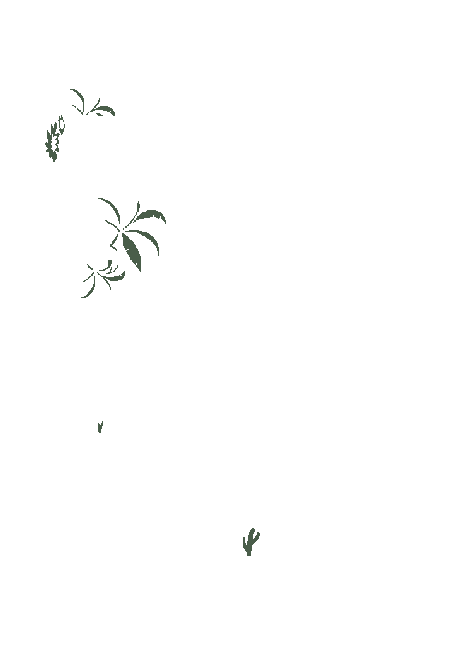 1891
